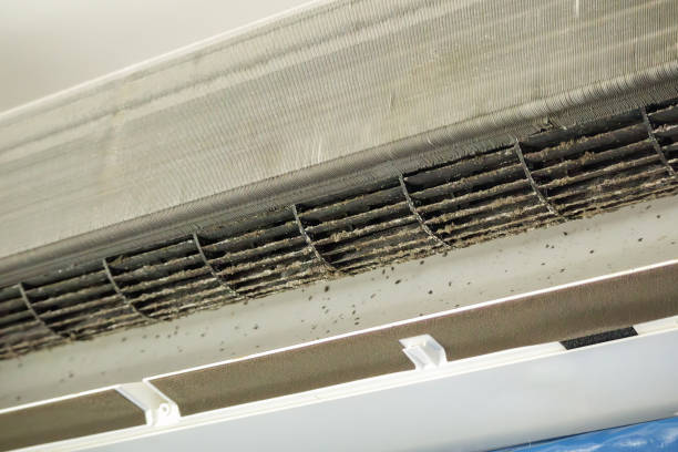 Best Air Vent Cleaning Services  in Kane, PA